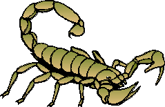 SITE-10-67-INSECTES03.png